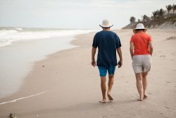 How ASIC and the ATO regulate SMSF borrowing