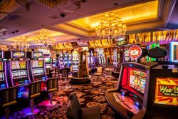 How much money do investors lose every year?