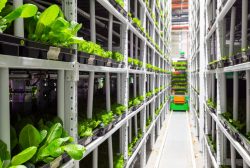 Why manufacturing in WA makes a whole lot of sense