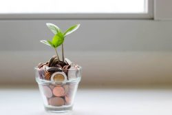 Investing in debt? Here’s why private debt funds are booming