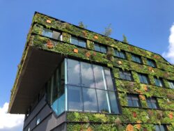 The ultimate 2024 green credentials guide for Australian commercial property landlords