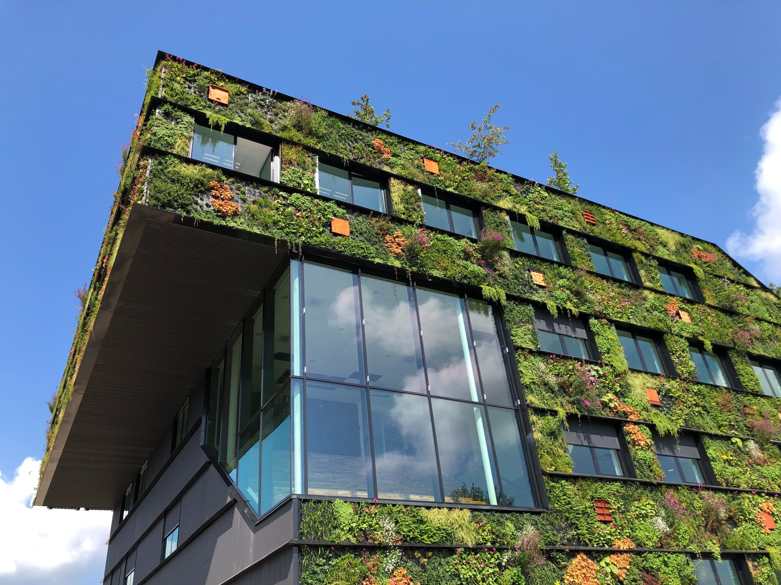 The ultimate 2024 green credentials guide for Australian commercial property landlords
