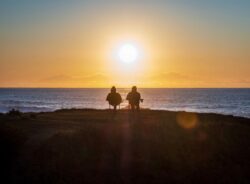 The Path to Profit: 5 reasons investors invest in commercial property syndicates